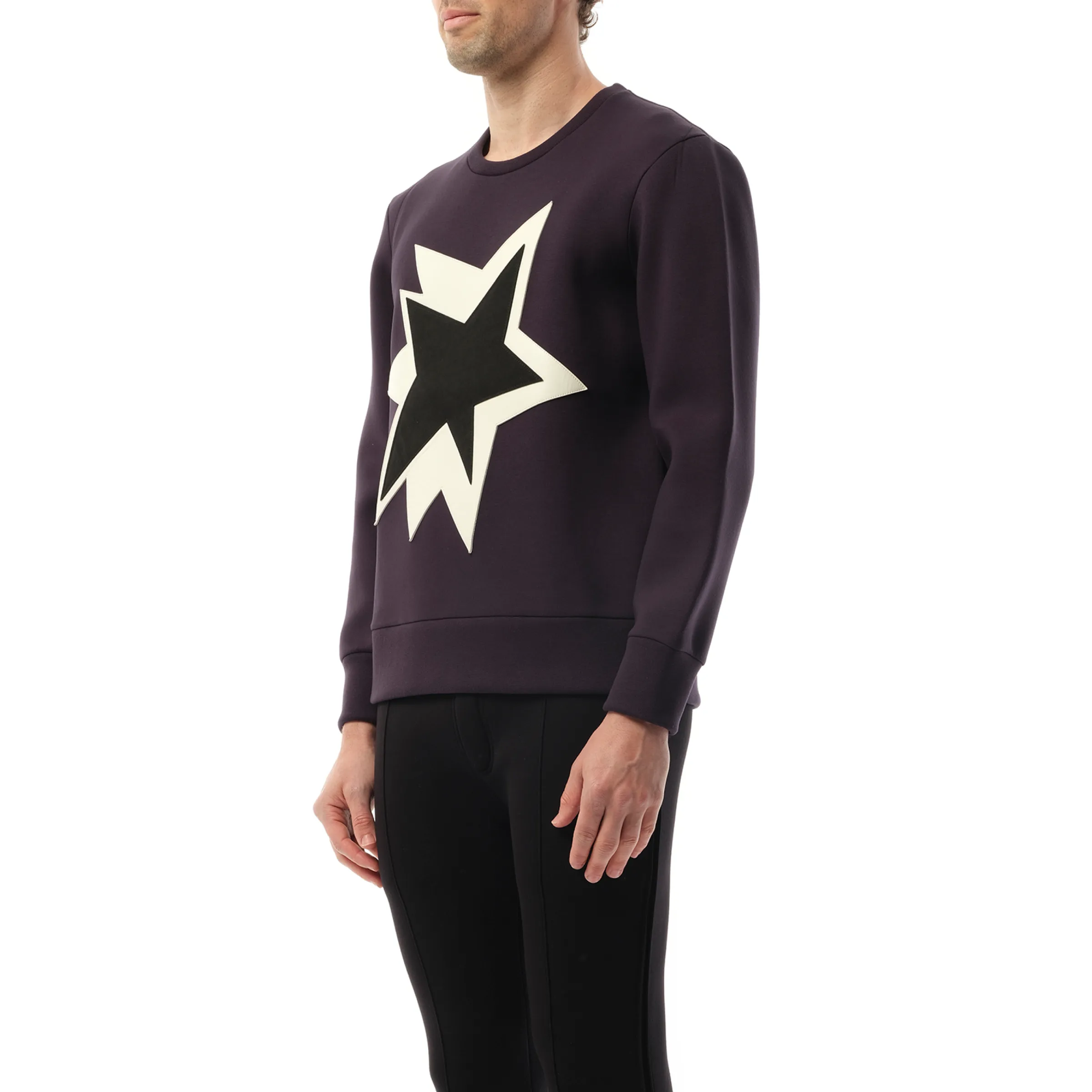 Sweatshirt in Purple